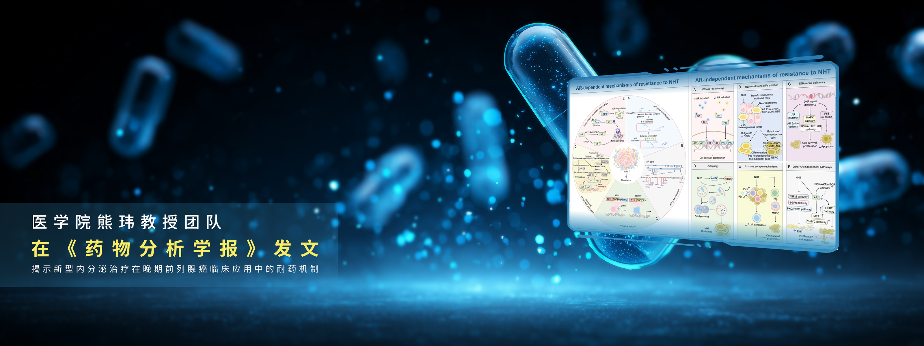 mk体育在线官网 UESTC